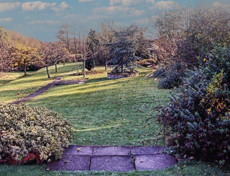 A lawn with trees at the far end