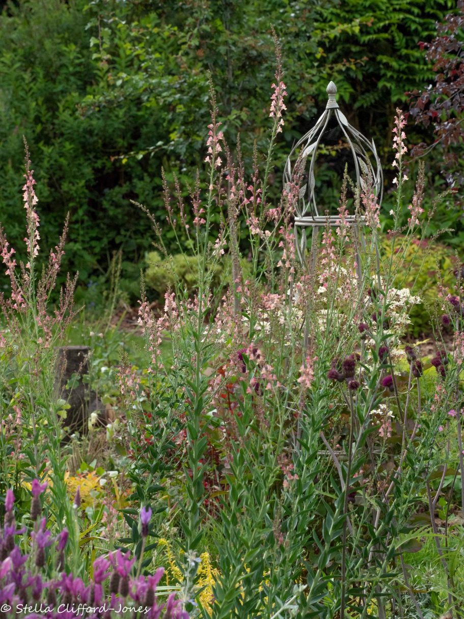 Pastel pink flowers and a pretty white obelisk