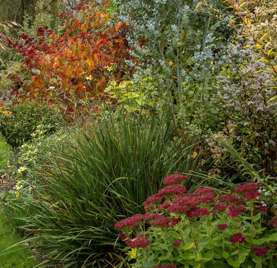 Colour, shape and texture provided mostly by foliage